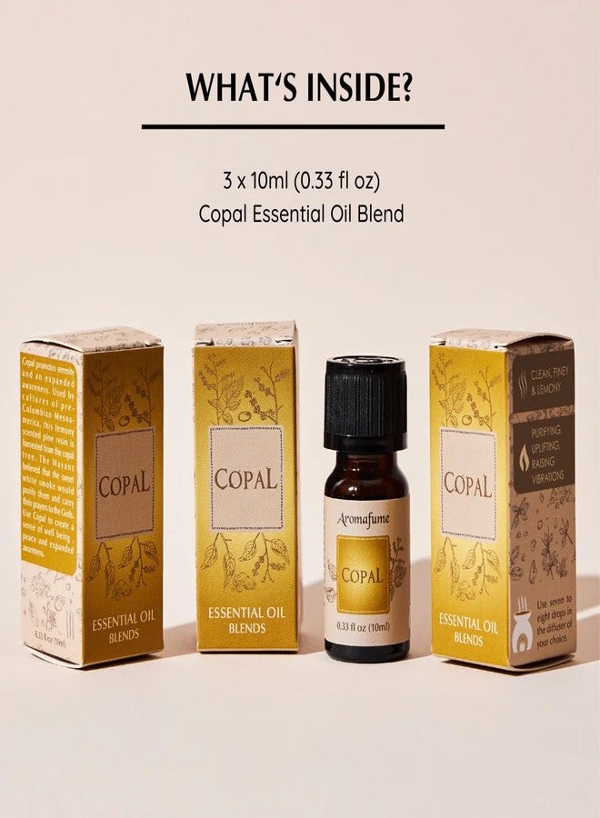 أرومافيوم مزيج زيت عطري من راتنج الكوبال 30 مل من أرومافوم | مستخلص بروتيوم كوبال (بورسيراسيا) | موطنه الأصلي المكسيك | استرخاء عميق وأجواء مثالية للطقوس | غني بالراتنجات النقية - Image 2